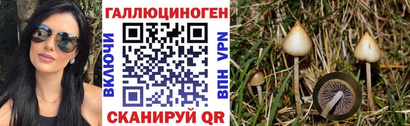 что такое   Лукоянов  Галлюциногенные грибы Cubensis 